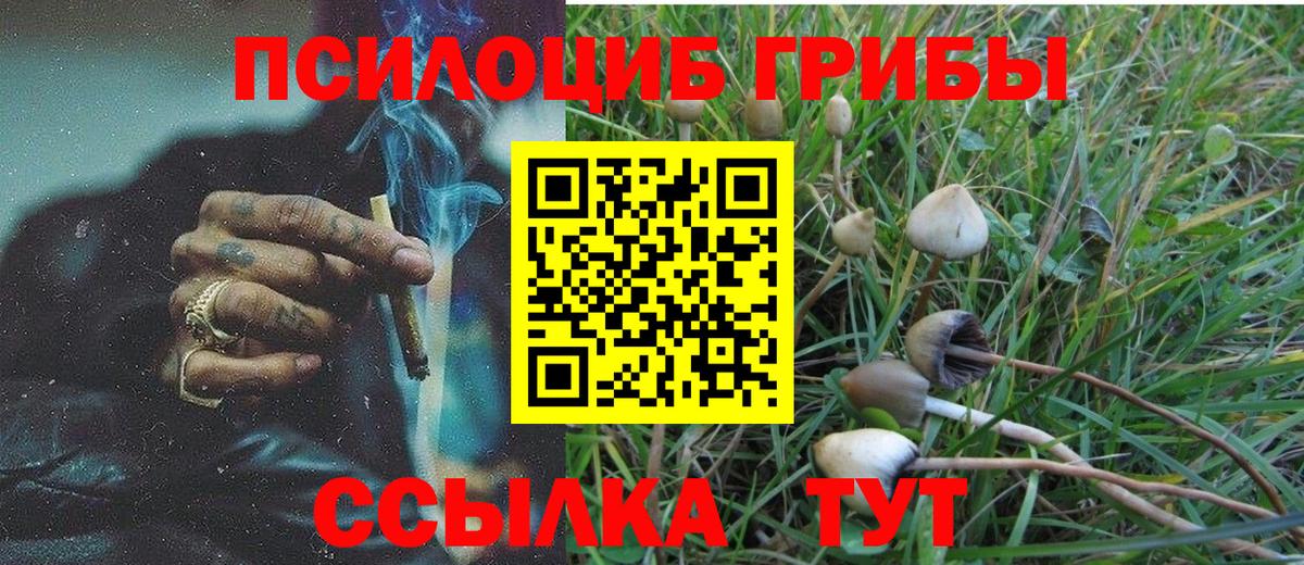 Галлюциногенные грибы MAGIC MUSHROOMS Тимашёвск