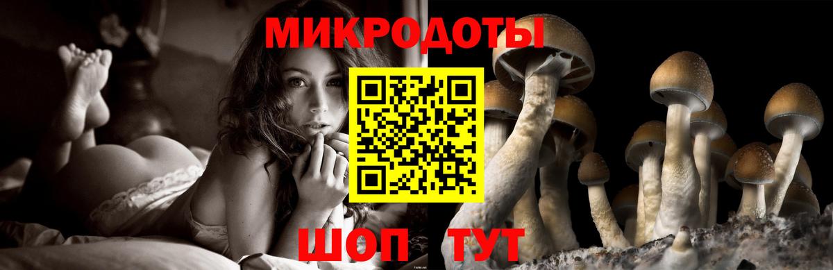 Тимашёвск  Галлюциногенные грибы GOLDEN TEACHER  Вход с VPN 
