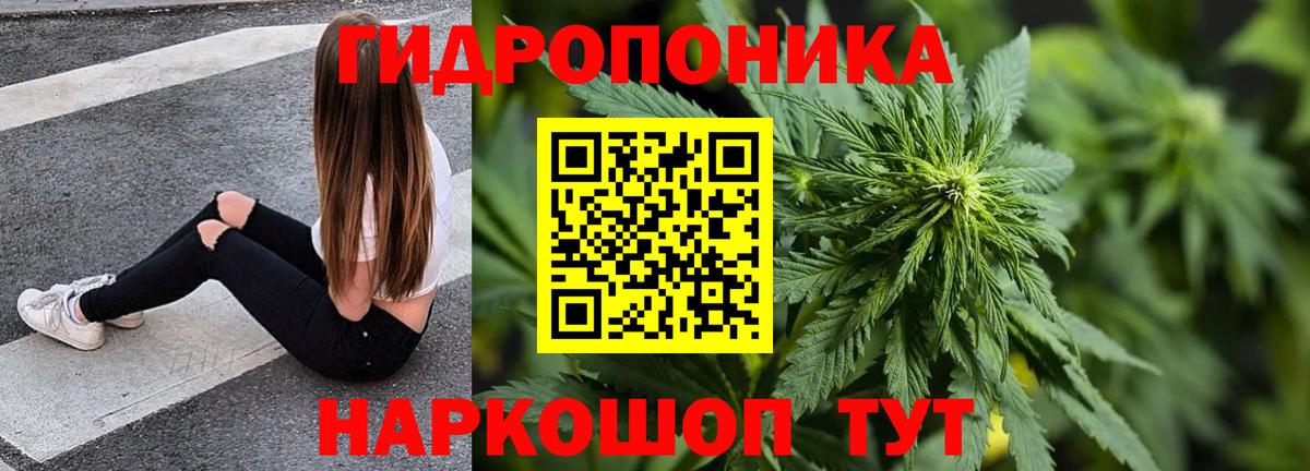 Бошки Шишки конопля  Канабис Bruce Banner  Тимашёвск  Вход с VPN  Канабис тримм 